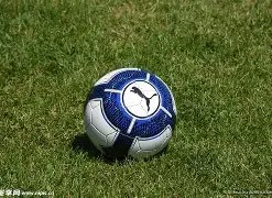 中国破纪录,再展新篇章,哈尔滨亚冬,世界杯赛程,2026世界杯,比赛时间,场馆分布,参赛国家